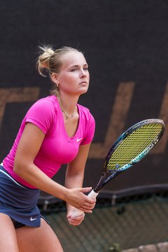 Bild 291 - TVSH Cup